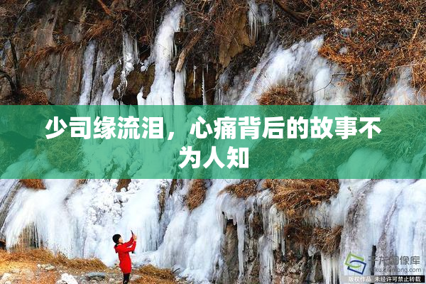 少司缘流泪，心痛背后的故事不为人知