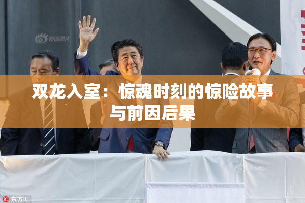 双龙入室：惊魂时刻的惊险故事与前因后果