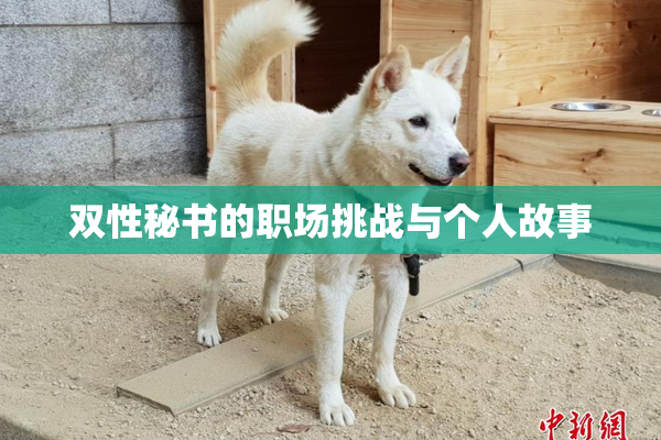 双性秘书的职场挑战与个人故事