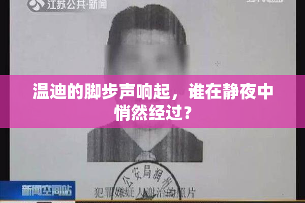 温迪的脚步声响起，谁在静夜中悄然经过？