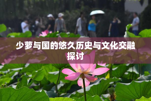 少萝与国的悠久历史与文化交融探讨