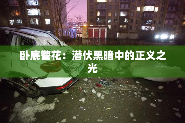 卧底警花：潜伏黑暗中的正义之光