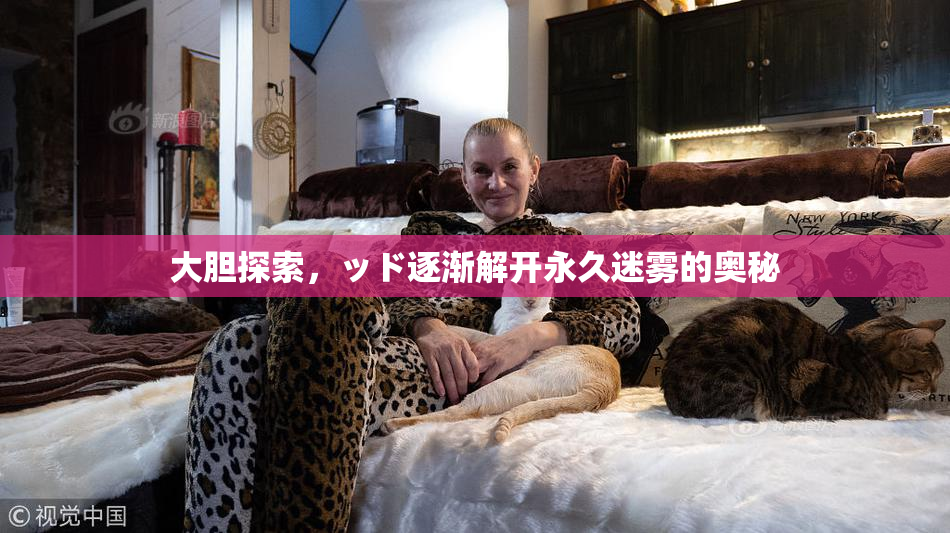 大胆探索，ッド逐渐解开永久迷雾的奥秘
