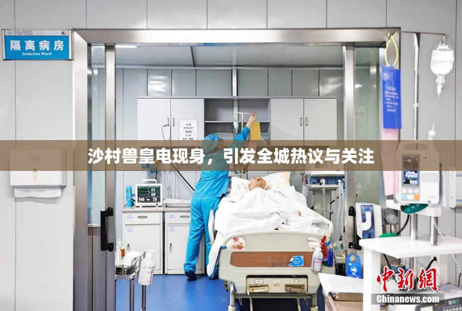 沙村兽皇电现身，引发全城热议与关注