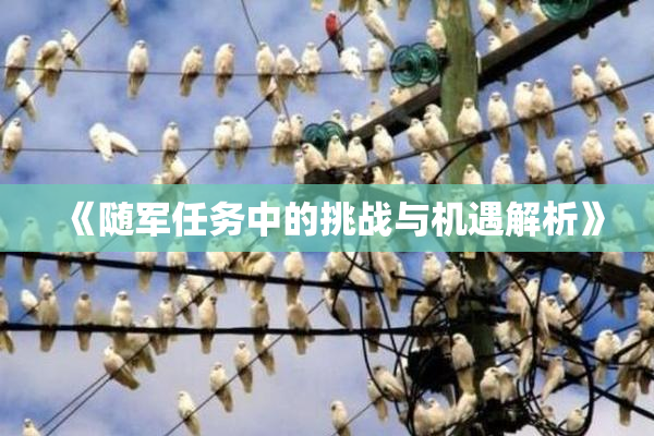 《随军任务中的挑战与机遇解析》