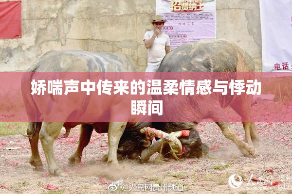 娇喘声中传来的温柔情感与悸动瞬间