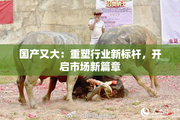 国产又大：重塑行业新标杆，开启市场新篇章