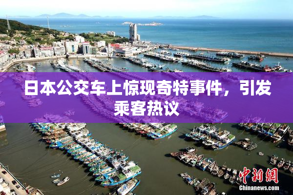 日本公交车上惊现奇特事件，引发乘客热议