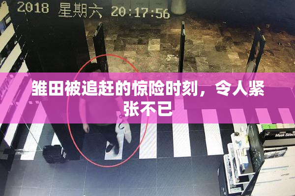 雏田被追赶的惊险时刻，令人紧张不已