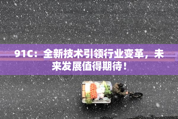 91C：全新技术引领行业变革，未来发展值得期待！