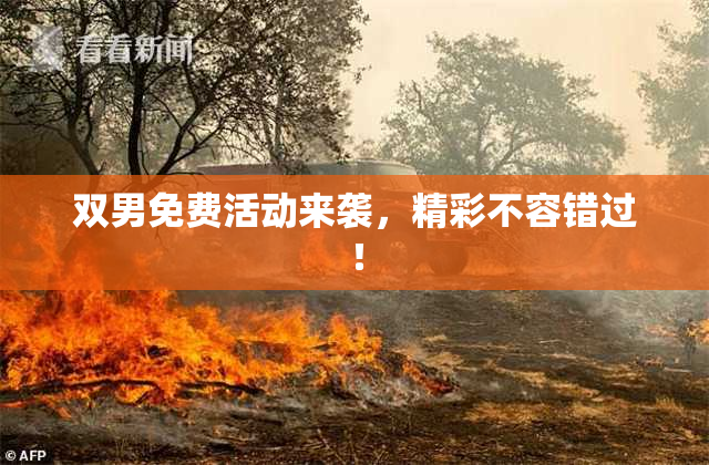 双男免费活动来袭，精彩不容错过！
