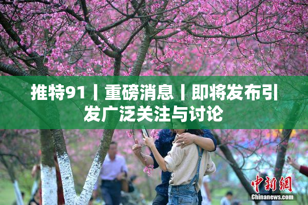推特91丨重磅消息丨即将发布引发广泛关注与讨论