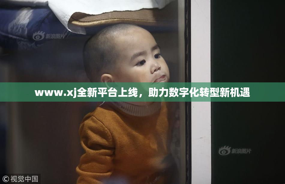 www.xj全新平台上线，助力数字化转型新机遇