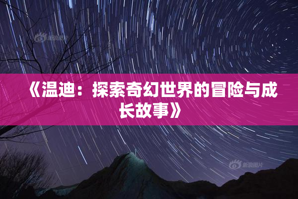 《温迪：探索奇幻世界的冒险与成长故事》