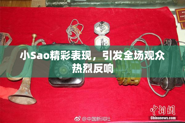 小Sao精彩表现，引发全场观众热烈反响