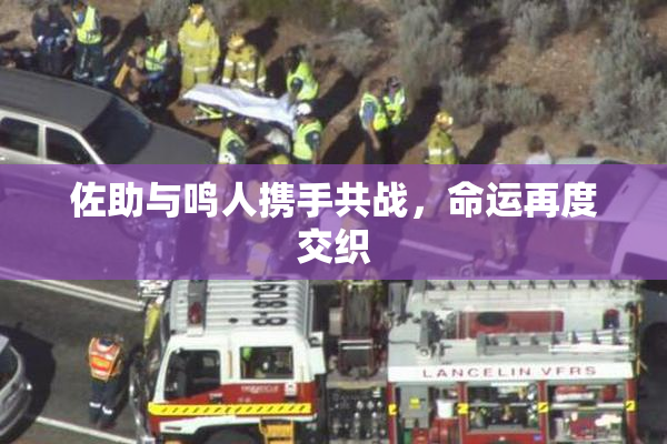 佐助与鸣人携手共战，命运再度交织