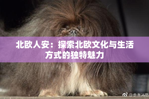 北欧人安：探索北欧文化与生活方式的独特魅力