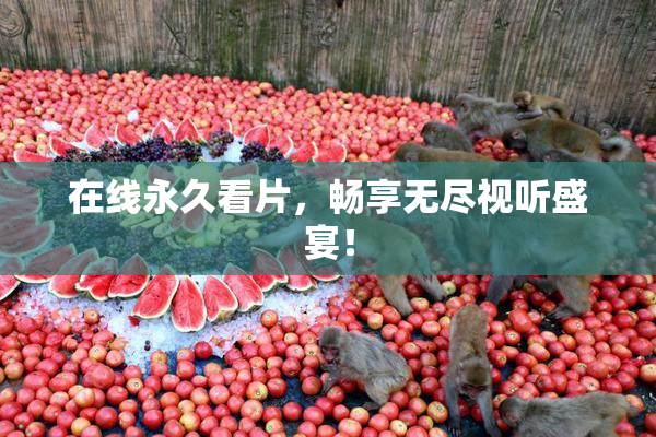 在线永久看片，畅享无尽视听盛宴！