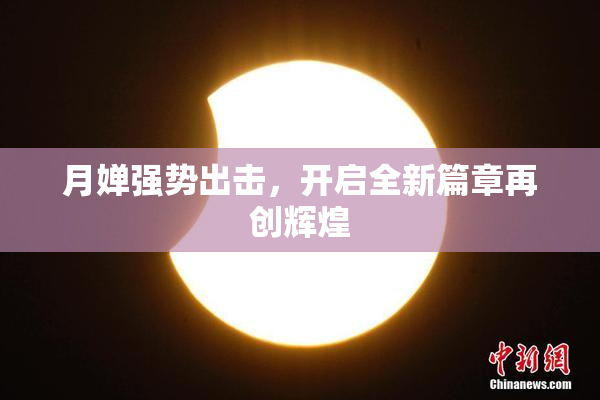 月婵强势出击，开启全新篇章再创辉煌