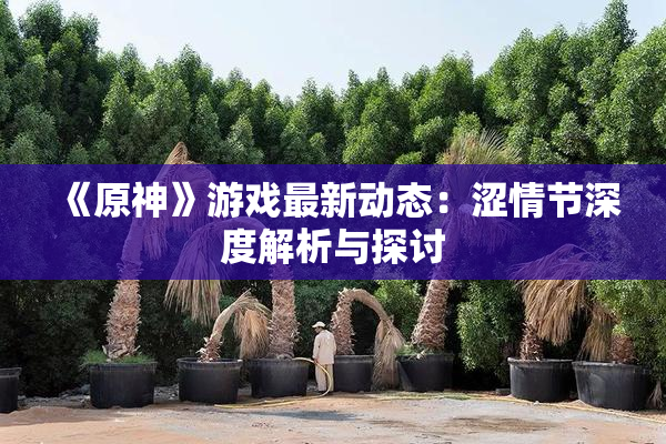 《原神》游戏最新动态：涩情节深度解析与探讨