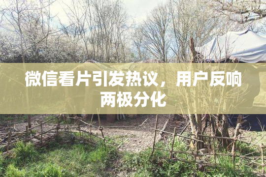 微信看片引发热议，用户反响两极分化