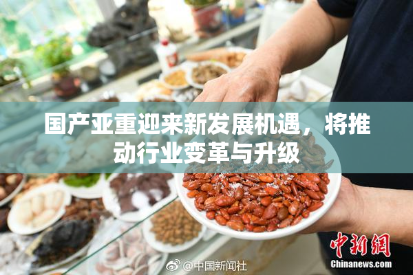 国产亚重迎来新发展机遇，将推动行业变革与升级