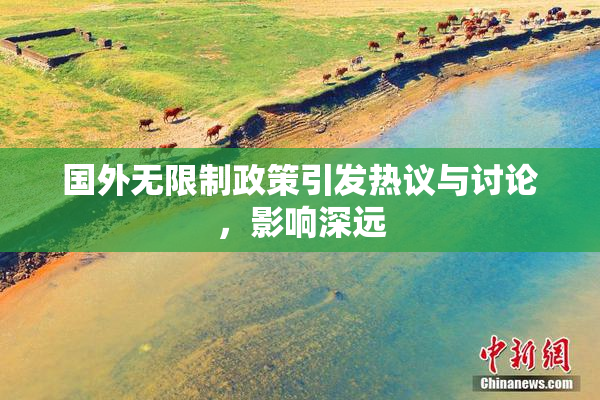 国外无限制政策引发热议与讨论，影响深远