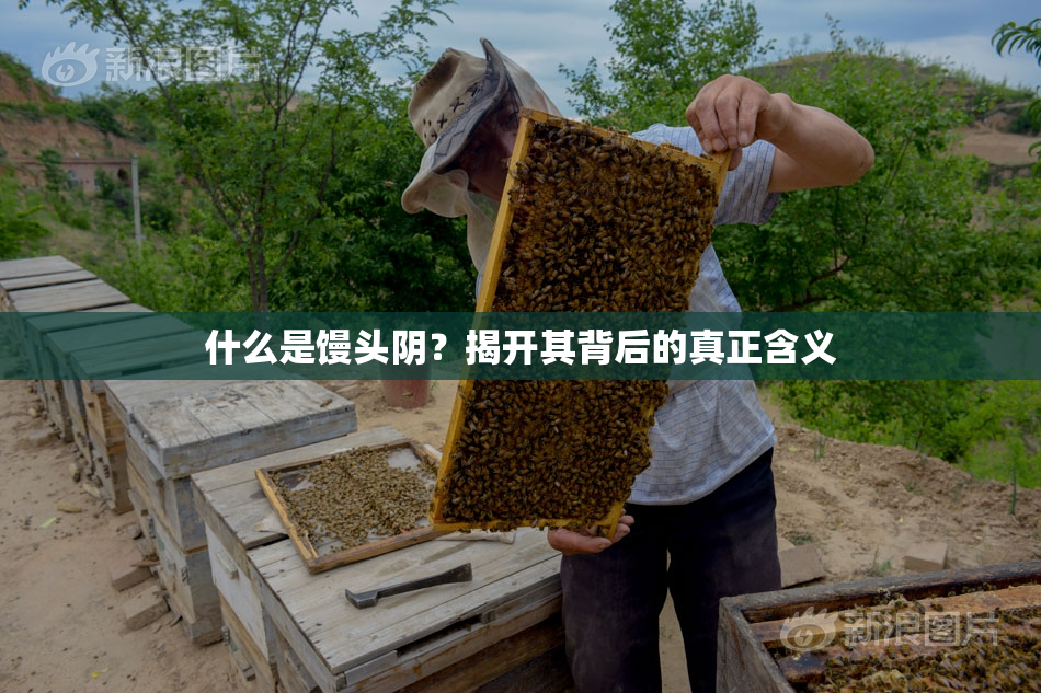 什么是馒头阴？揭开其背后的真正含义