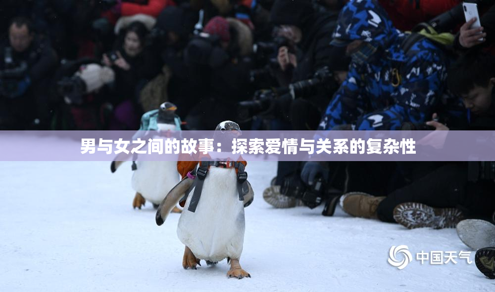 男与女之间的故事：探索爱情与关系的复杂性