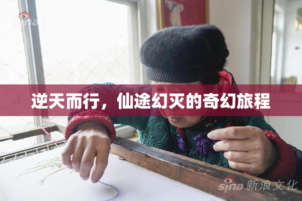逆天而行，仙途幻灭的奇幻旅程