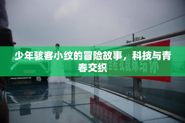 少年骇客小纹的冒险故事，科技与青春交织