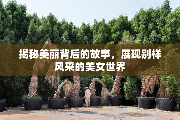 揭秘美丽背后的故事，展现别样风采的美女世界