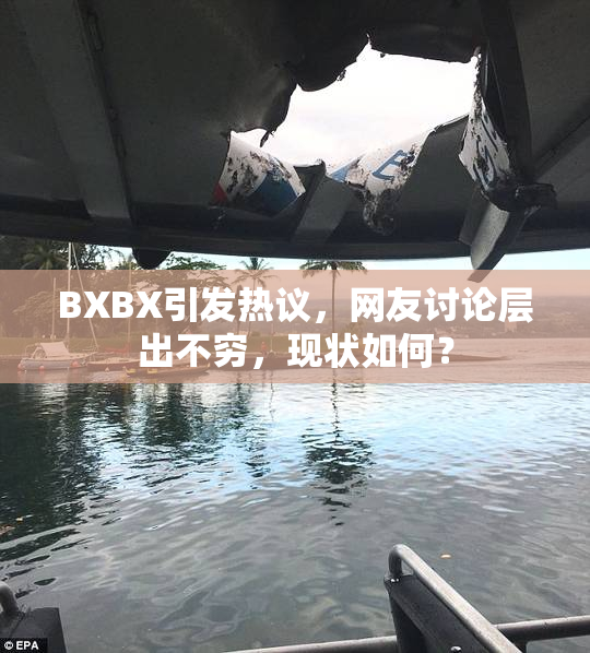 BXBX引发热议，网友讨论层出不穷，现状如何？