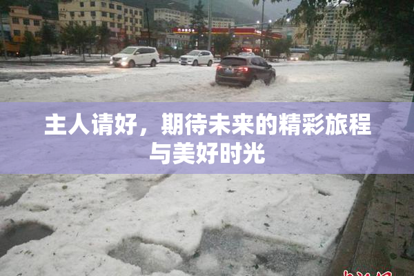 主人请好，期待未来的精彩旅程与美好时光