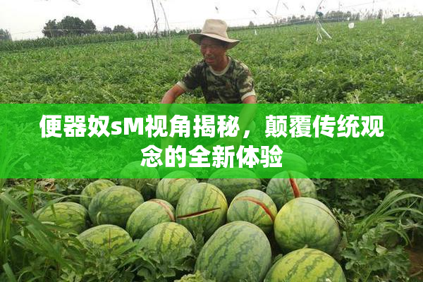 便器奴sM视角揭秘，颠覆传统观念的全新体验