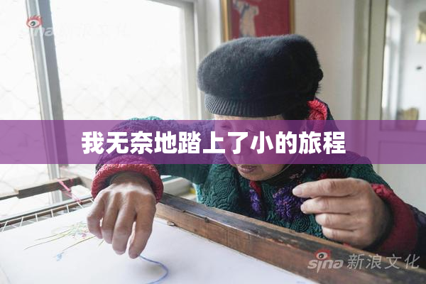 我无奈地踏上了小的旅程