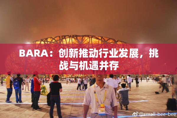 BARA：创新推动行业发展，挑战与机遇并存