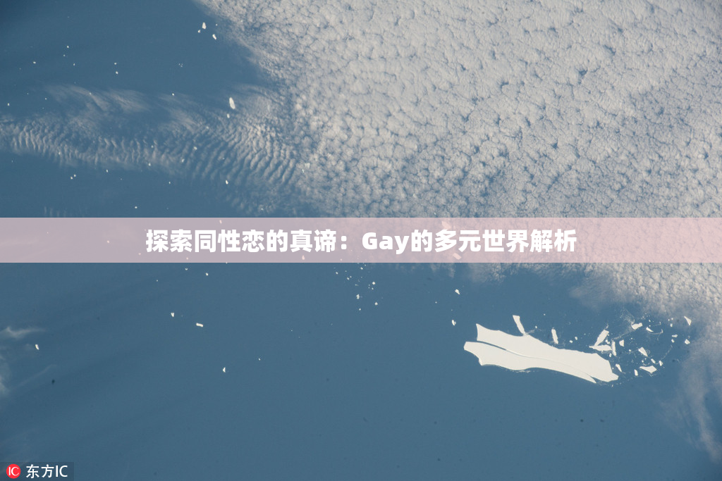探索同性恋的真谛：Gay的多元世界解析