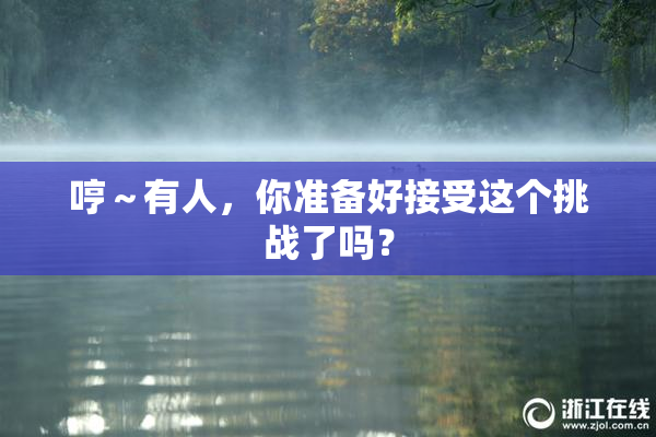 哼～有人，你准备好接受这个挑战了吗？