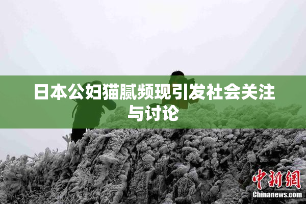 日本公妇猫腻频现引发社会关注与讨论