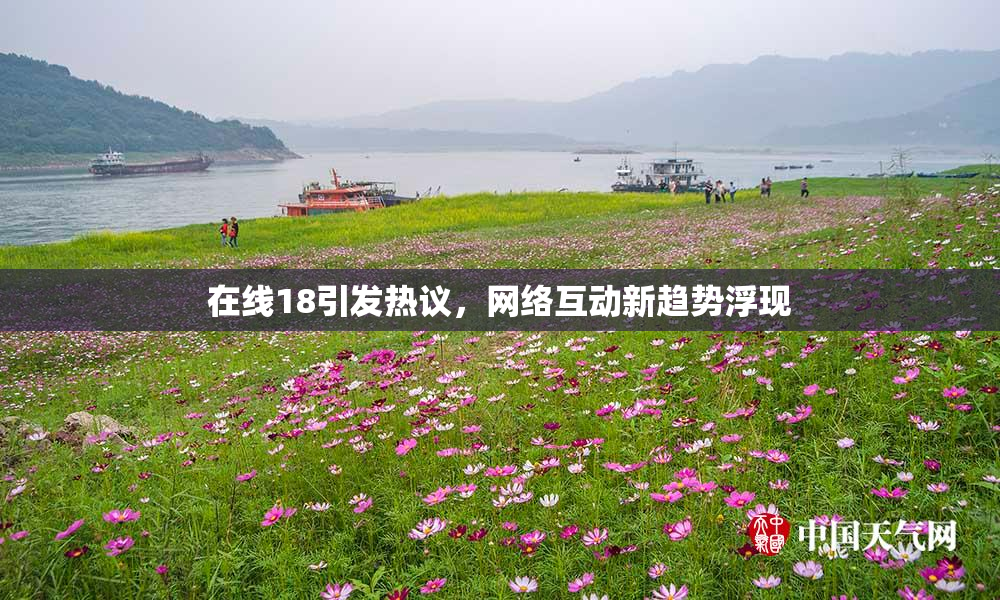 在线18引发热议，网络互动新趋势浮现