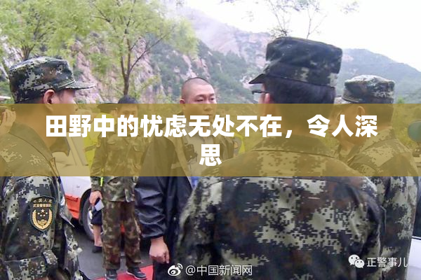 田野中的忧虑无处不在，令人深思