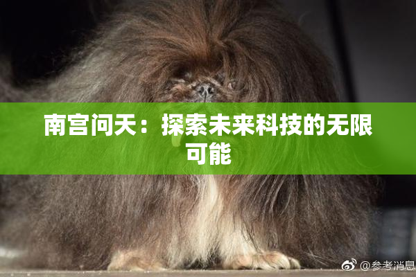 南宫问天：探索未来科技的无限可能