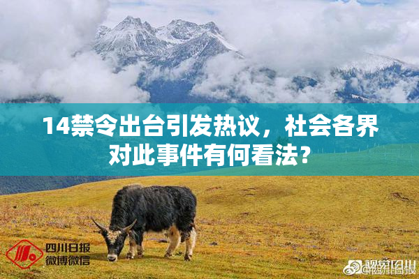 14禁令出台引发热议，社会各界对此事件有何看法？