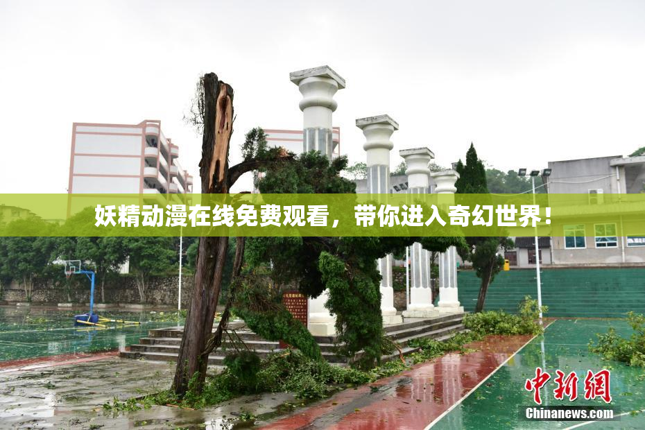 妖精动漫在线免费观看，带你进入奇幻世界！