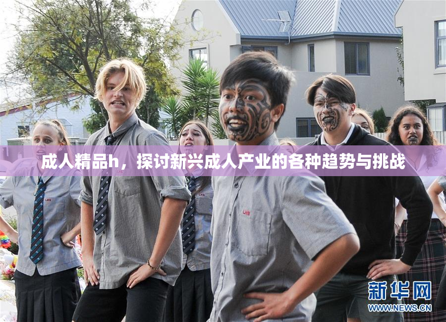 成人精品h，探讨新兴成人产业的各种趋势与挑战