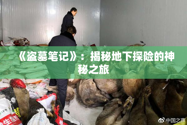 《盗墓笔记》：揭秘地下探险的神秘之旅