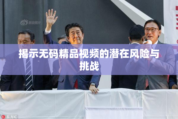 揭示无码精品视频的潜在风险与挑战