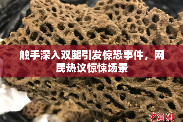 触手深入双腿引发惊恐事件，网民热议惊悚场景