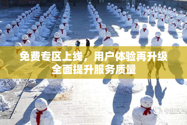 免费专区上线，用户体验再升级全面提升服务质量